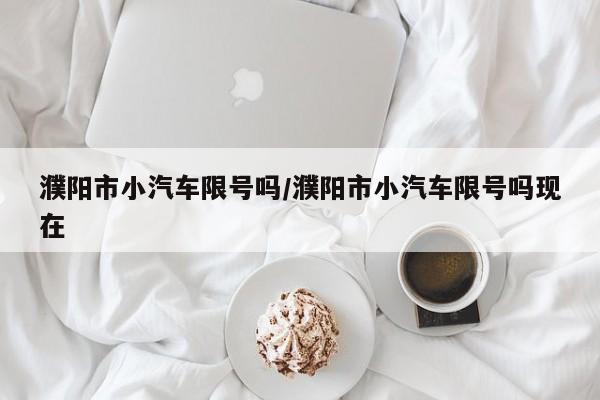 濮阳市小汽车限号吗/濮阳市小汽车限号吗现在