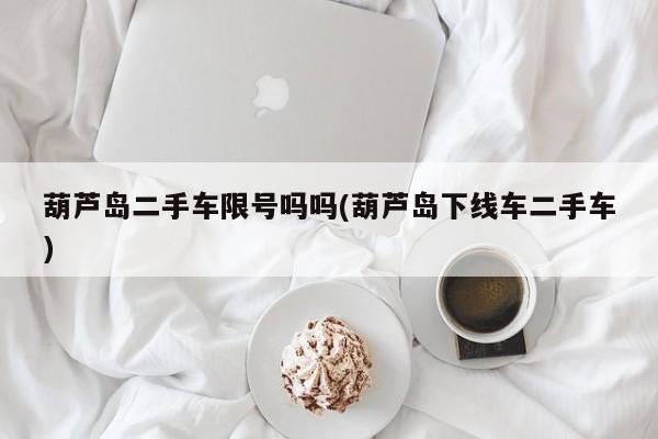 葫芦岛二手车限号吗吗(葫芦岛下线车二手车)