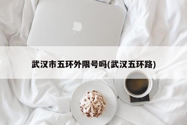 武汉市五环外限号吗(武汉五环路)