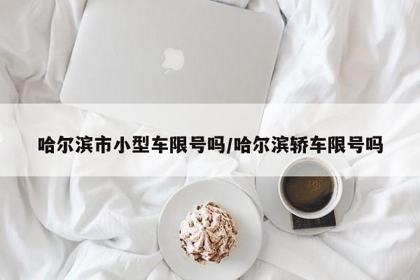 哈尔滨市小型车限号吗/哈尔滨轿车限号吗