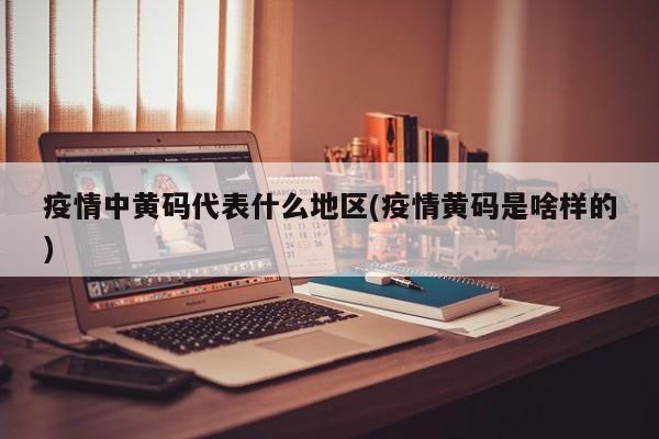 疫情中黄码代表什么地区(疫情黄码是啥样的)