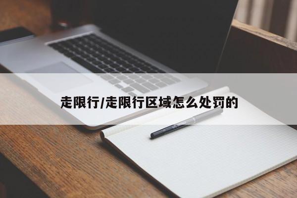 走限行/走限行区域怎么处罚的