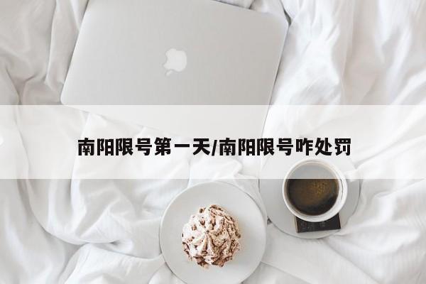 南阳限号第一天/南阳限号咋处罚