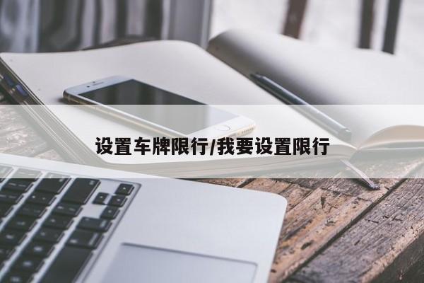 设置车牌限行/我要设置限行