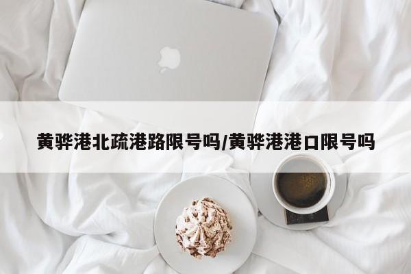 黄骅港北疏港路限号吗/黄骅港港口限号吗