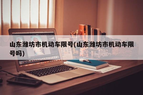 山东潍坊市机动车限号(山东潍坊市机动车限号吗)
