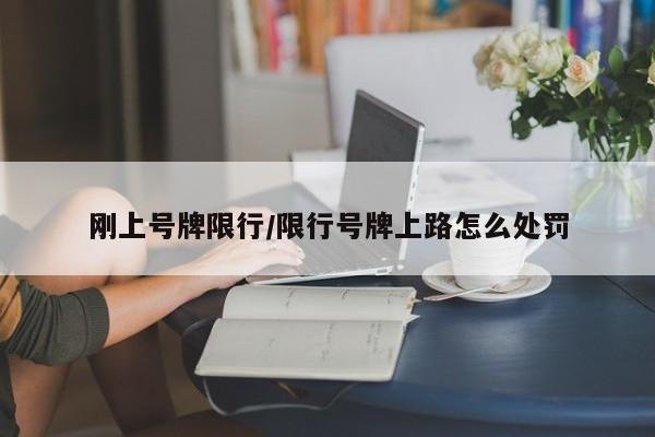 刚上号牌限行/限行号牌上路怎么处罚