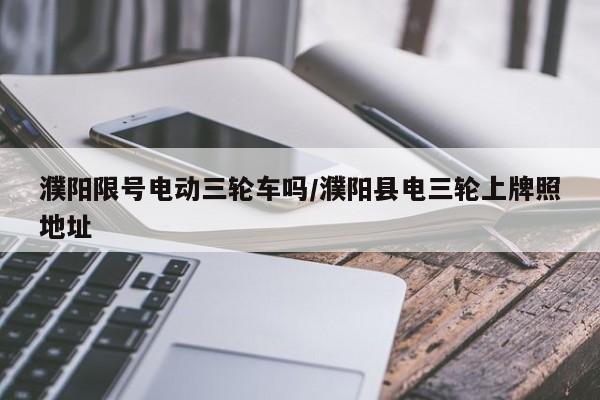 濮阳限号电动三轮车吗/濮阳县电三轮上牌照地址