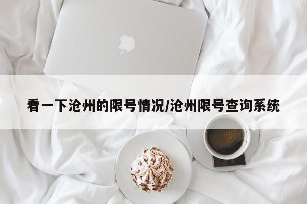 看一下沧州的限号情况/沧州限号查询系统