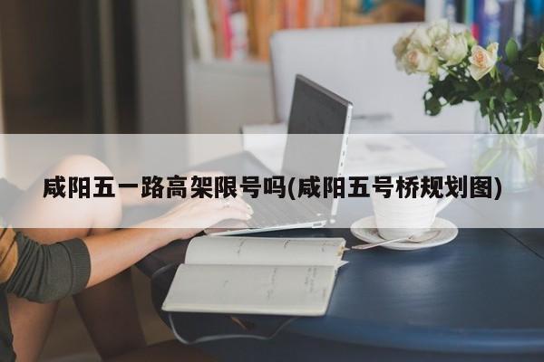 咸阳五一路高架限号吗(咸阳五号桥规划图)