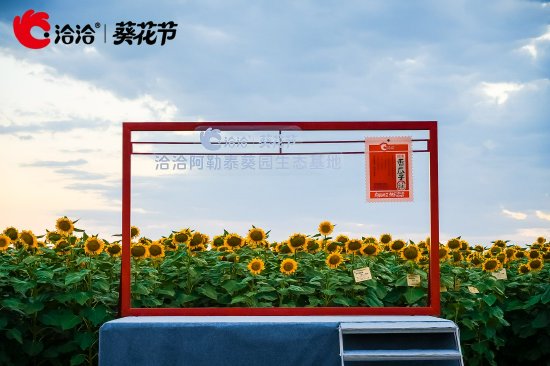 一场溯源之旅，揭开洽洽深耕品质背后的美味密码