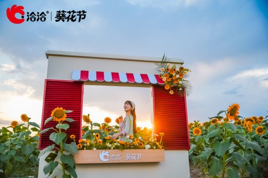 一场溯源之旅	，揭开洽洽深耕品质背后的美味密码