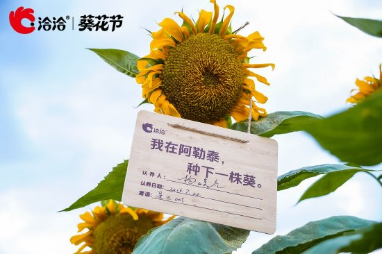 一场溯源之旅，揭开洽洽深耕品质背后的美味密码